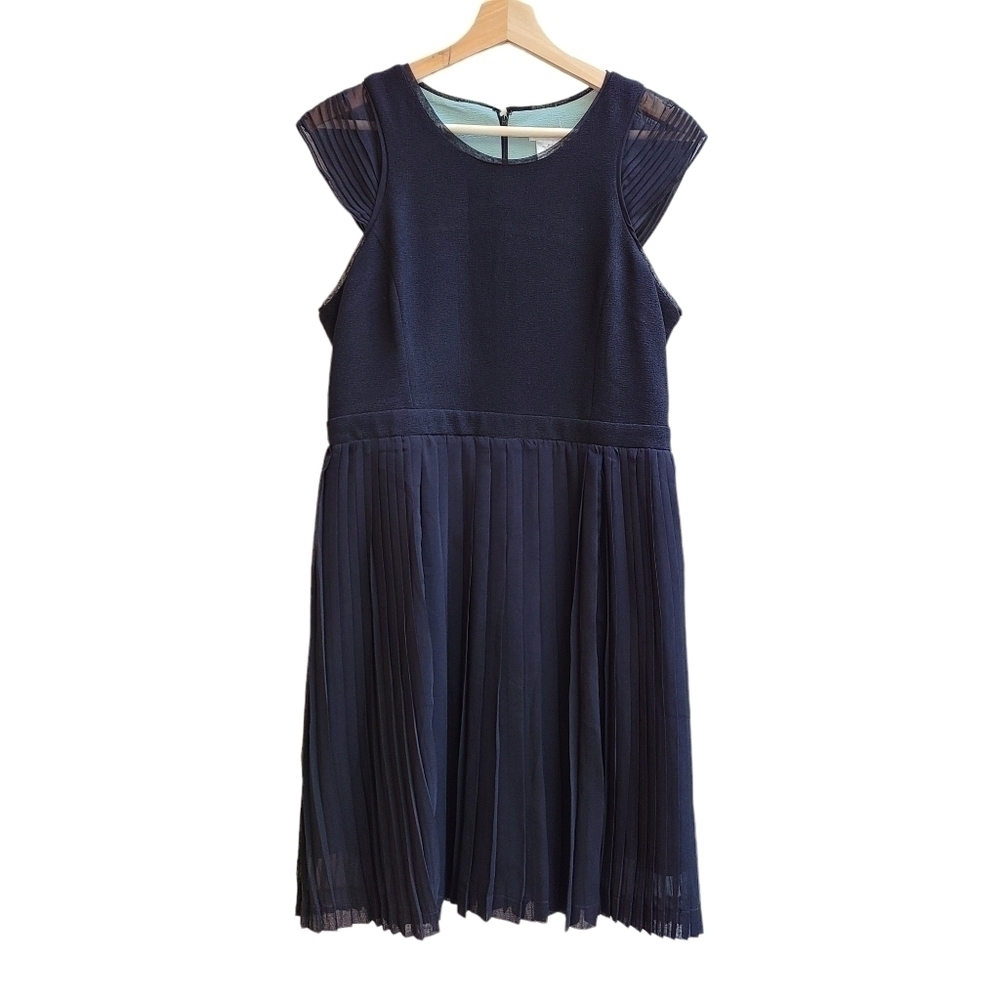 Esley Sheer Cap Sleeve Pleated Black Dress